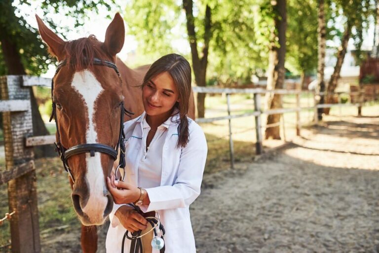 front view female vet examining horse outdoors farm daytime